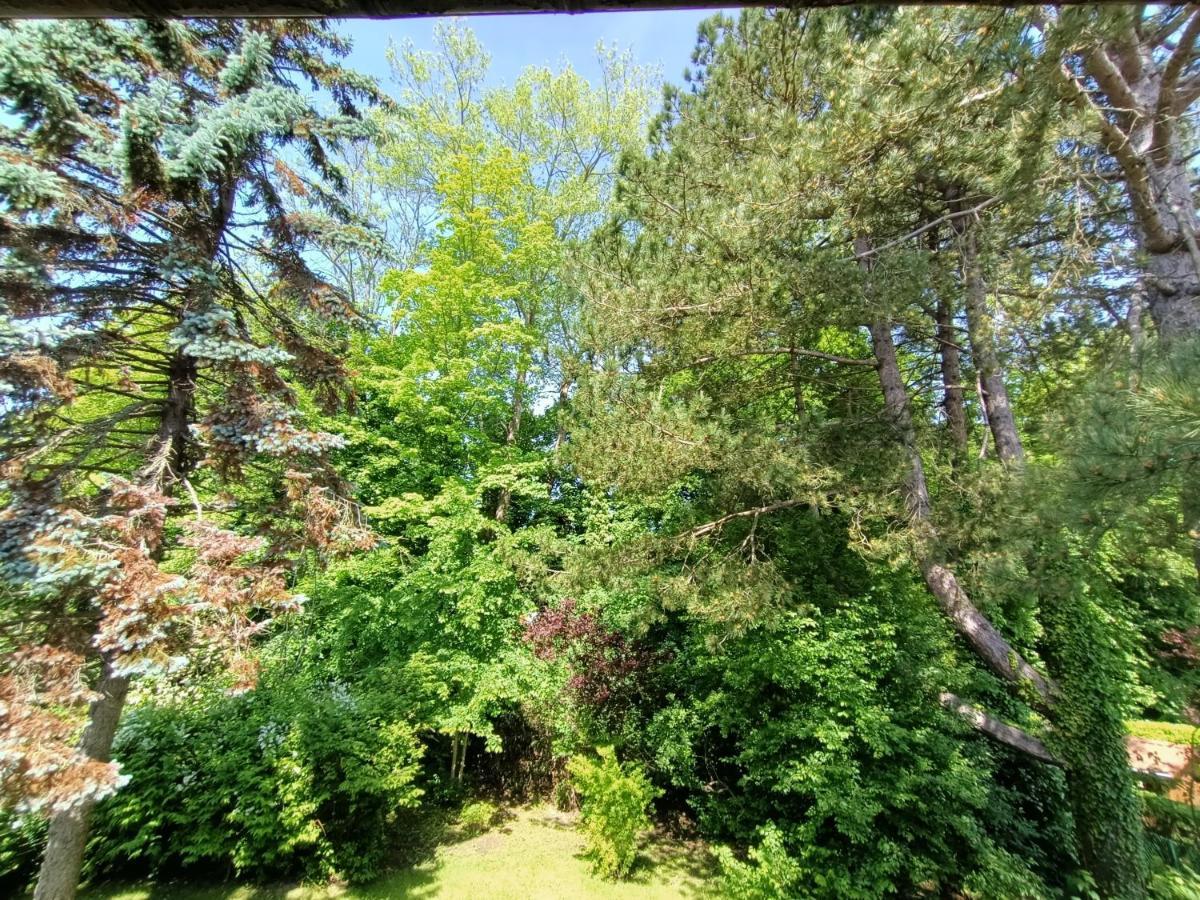 Villa 100 M Du Touquet Entre Foret Et Mer Cucq Zewnętrze zdjęcie