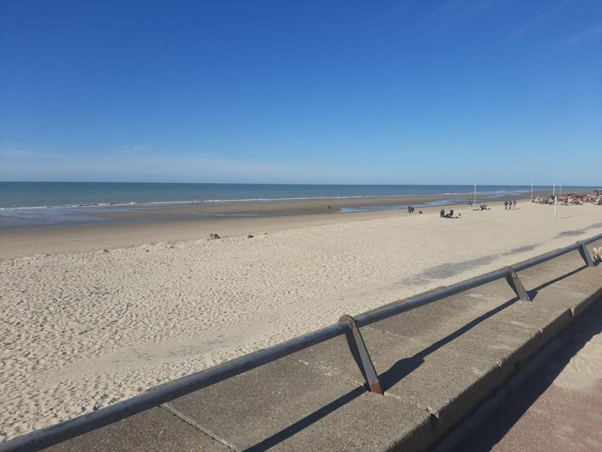 Villa 100 M Du Touquet Entre Foret Et Mer Cucq Zewnętrze zdjęcie